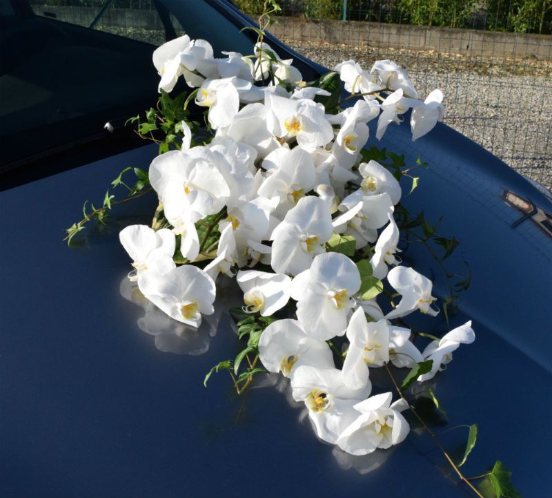 Voiture Fleurie Mariage - Décors voiture Mariage Orchidées - A Fleur d'Art - Artisan Fleuriste Professionnelle